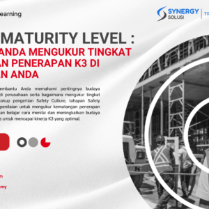 Safety Maturity Level