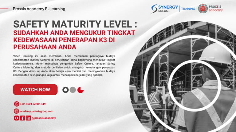 Safety Maturity Level